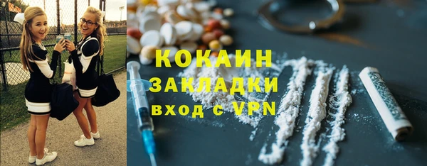 индика Россошь