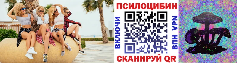 купить закладку  Оленегорск  Галлюциногенные грибы Psilocybe 